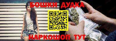 PSILOCYBIN Камышлов