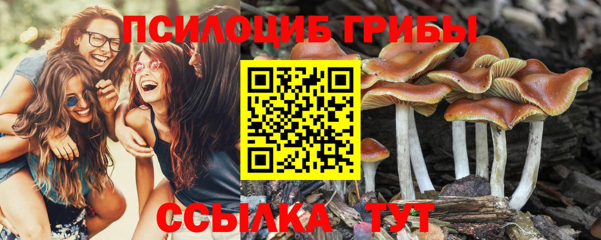 ЭКСТАЗИ Лениногорск