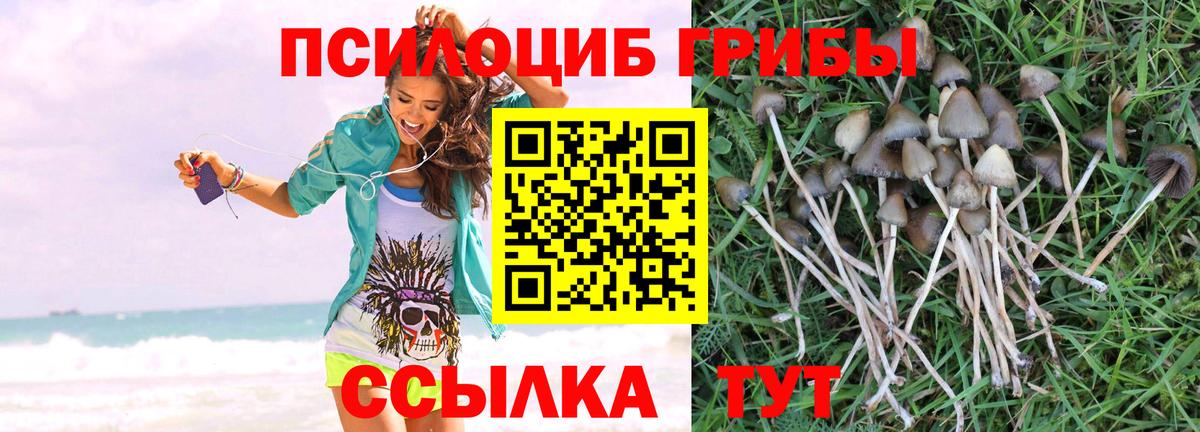 где продают   Галлюциногенные грибы MAGIC MUSHROOMS  Вход с VPN  Лениногорск 